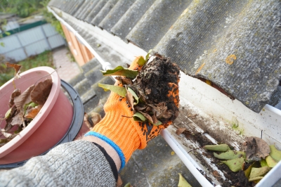 Best Gutter Clean